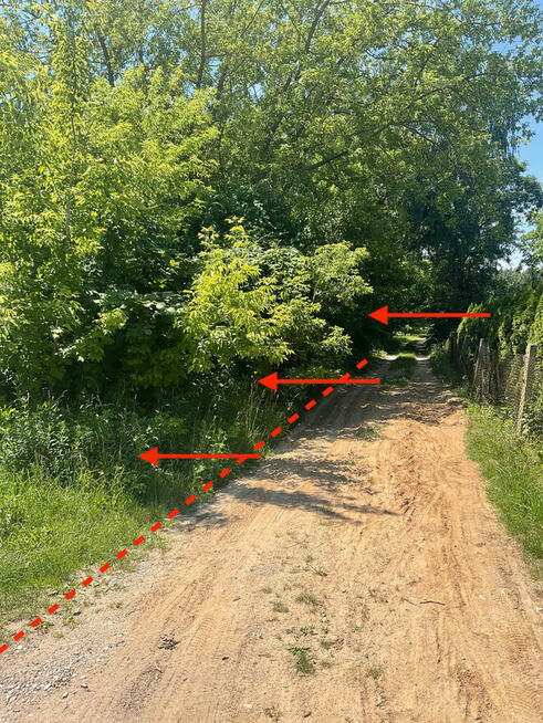 Sprzedam leśną działkę. Działka rolna o pow. 2 742 m²