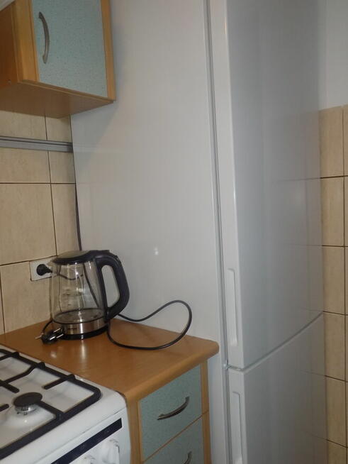 Zielona Saska Kępa, ul. Afrykańska, ok. ul. Egipskiej