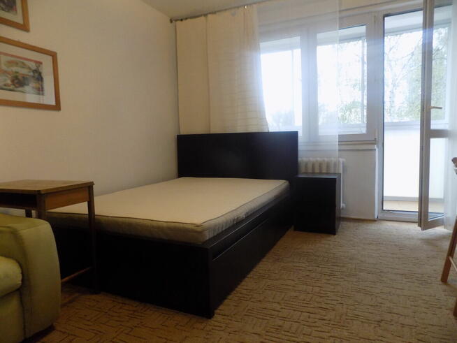 Zielona Saska Kępa, ul. Afrykańska, ok. ul. Egipskiej