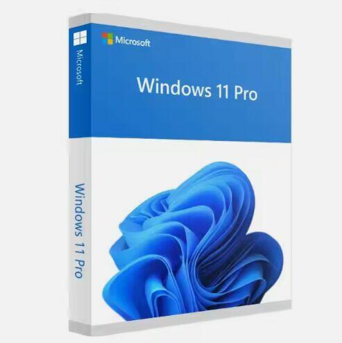 Windows 11 Pro KLUCZ PL