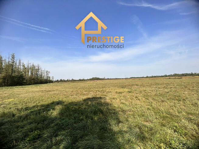 Na sprzedaż działka rolna 3,30ha Synogać gm. Wierzbinek