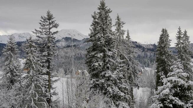 Noclegi obok wyciagu wolne terminy na ferie 2025