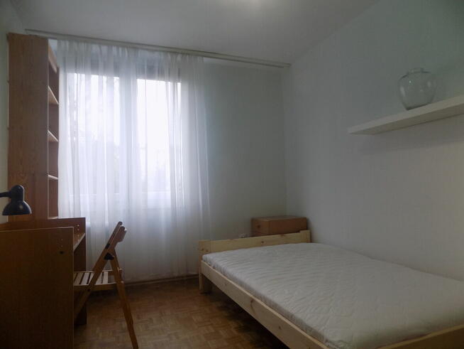 Zielona Saska Kępa, ul. Afrykańska, ok. ul. Egipskiej