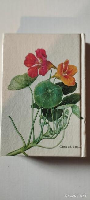 Rośliny lecznicze - Franciszek Stary