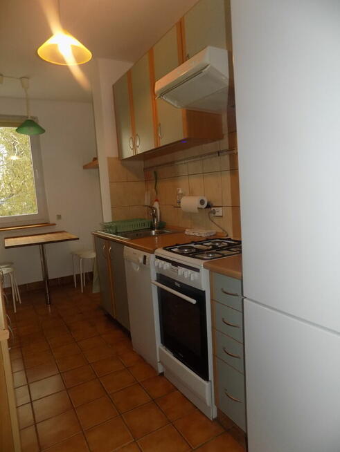 Zielona Saska Kępa, ul. Afrykańska, ok. ul. Egipskiej