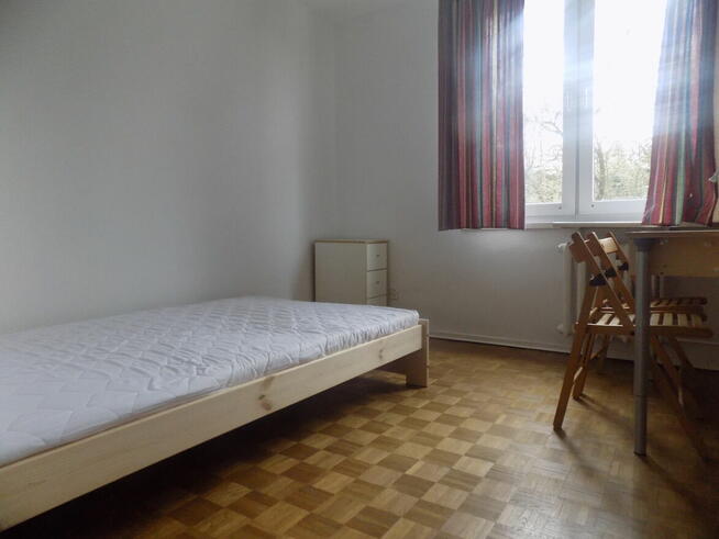 Zielona Saska Kępa, ul. Afrykańska, ok. ul. Egipskiej