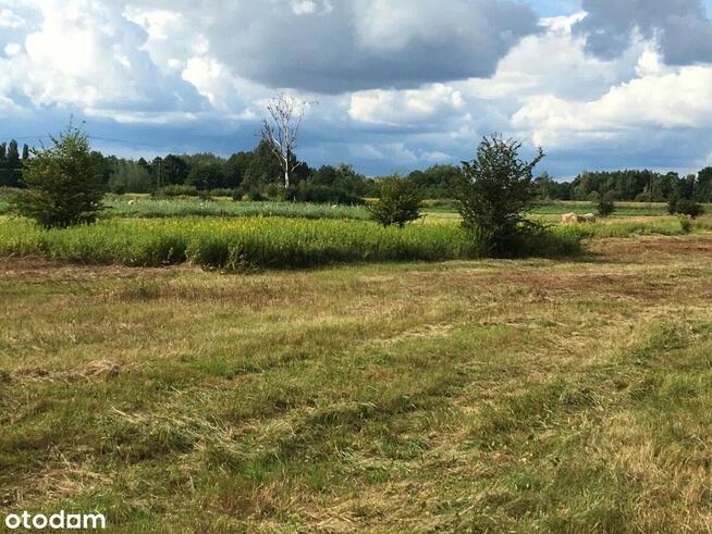Rekreacja- WŁASNOŚĆ (5000 m2) k/rzeki