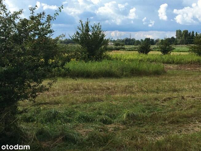 DZIAŁKI rekreac. inwest. WŁASNOŚĆ zielony zakątek