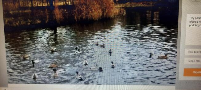 mieszkanie dla inwestora