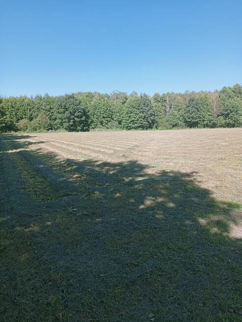 Sprzedam gospodarstwo rolne