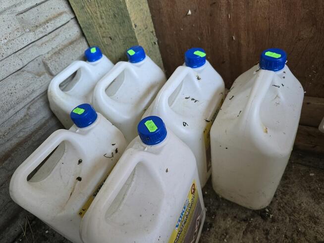 KANISTER POJEMNIK PLASTIKOWY BANIAK NA WODĘ PŁYNY CHEMIE 5L