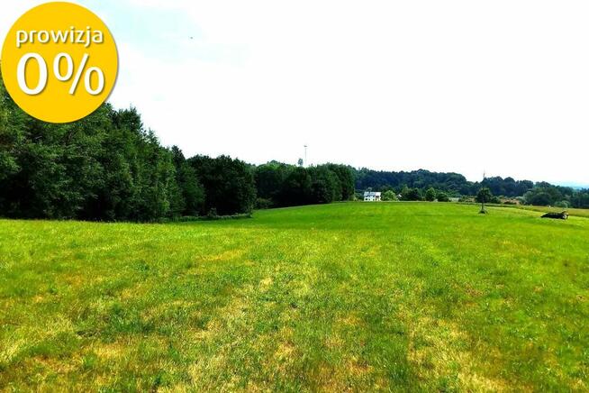 Widokowa działka 69,26 ar Złota, małopolskie