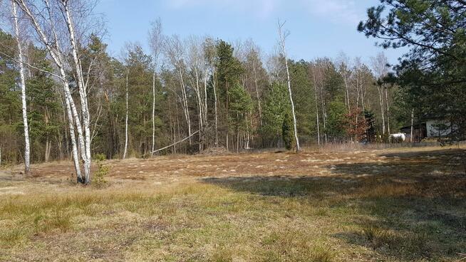 Działka budowlana Malcanów gm. Wiązowna, Podleśna