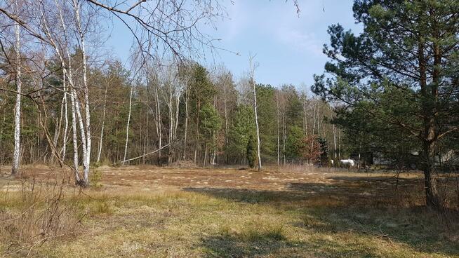 Działka budowlana Malcanów gm. Wiązowna, Podleśna