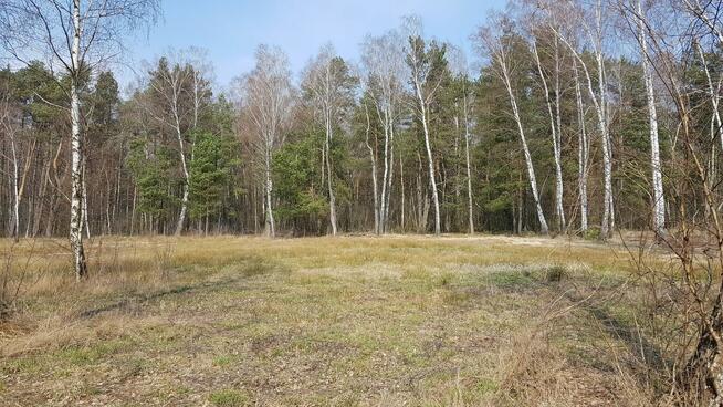 Działka budowlana Malcanów gm. Wiązowna, Podleśna