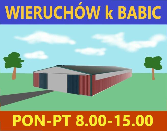 ochrona zakładu w Wieruchowie k Babic, od pon do pt, 8-15