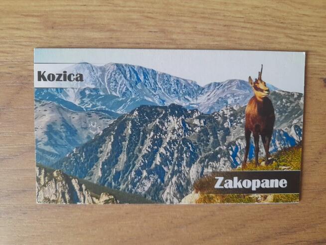 magnes na lodówkę kozica zakopane