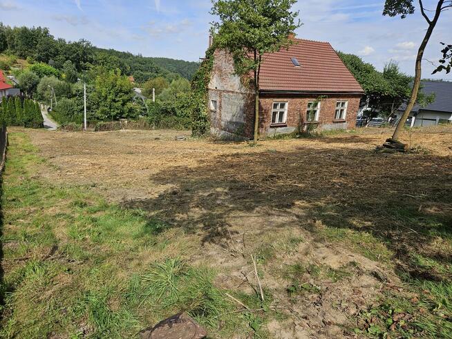 Mulczowanie Czyszczenie działek wycinka drzew mulczer