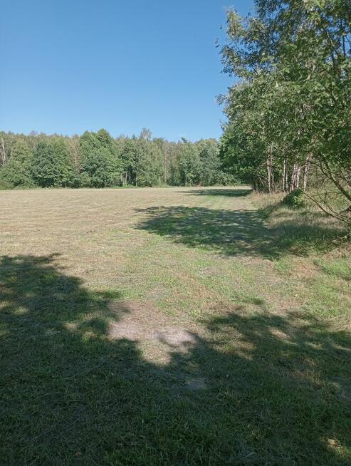 Sprzedam gospodarstwo rolne