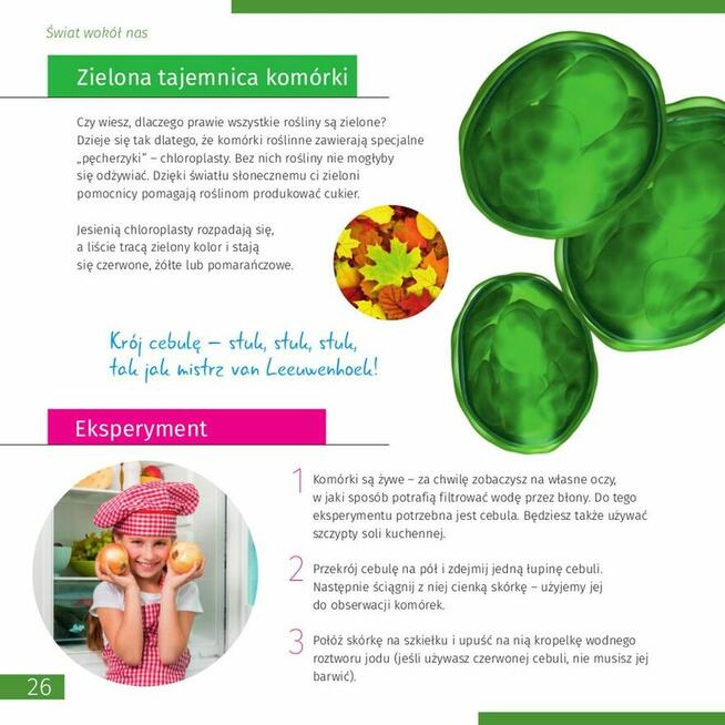 Mikroskop Levenhuk Discovery Centi 01 z książką