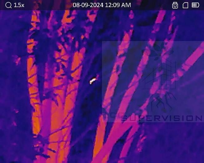 Eco Supervision Ekspertyzy przyrodnicze