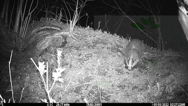 Eco Supervision Ekspertyzy przyrodnicze