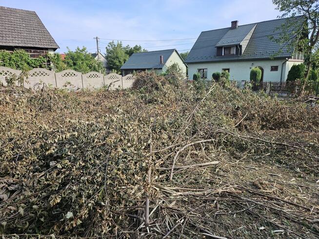 Mulczowanie Czyszczenie działek wycinka drzew mulczer