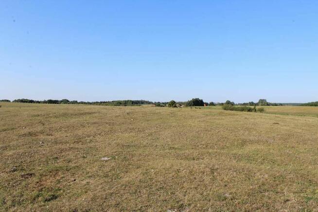 Działka 30 arów w Zdorach, 900 m od j Sniardwy