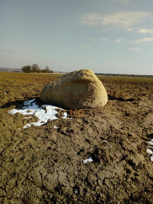 Sprzedam dużego głaza kamień