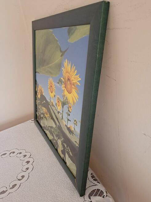 Obraz – kwiaty słonecznika, do sprzedania