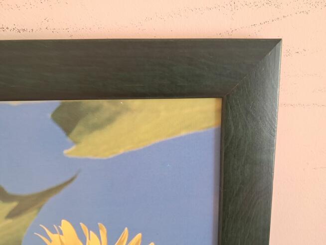 Obraz – kwiaty słonecznika, do sprzedania