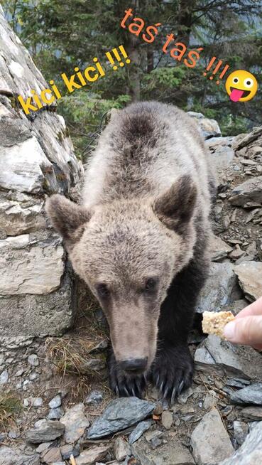 Być może na początek przyjaźń ?!