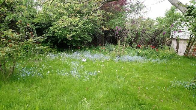 POKOJE PRACOWNICZE POZNAŃ UL. DĄBROWSKIEGO