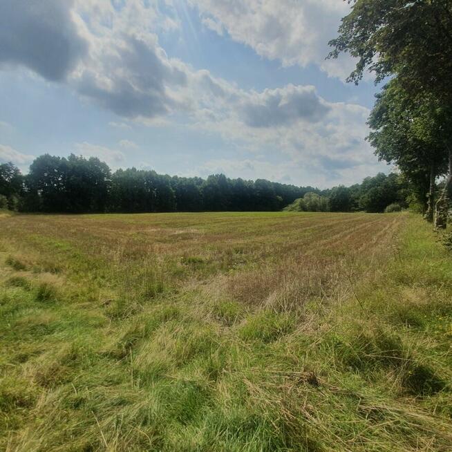 Działka Inwestycyjna przy trasie DK 112