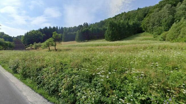 Działka w Michałkowej gm Walim - Góry Sowie z warunkami
