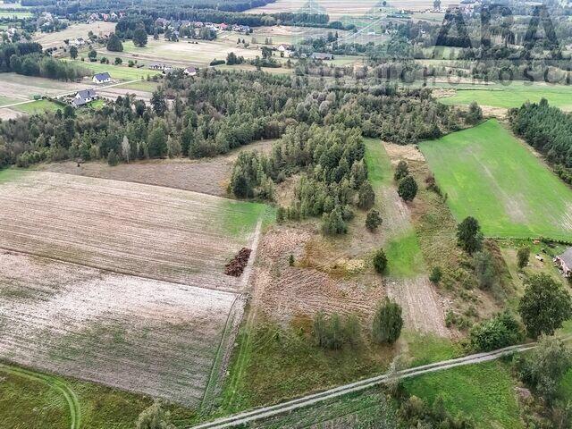 Działka rolna idealna na stadninę - Brzózki