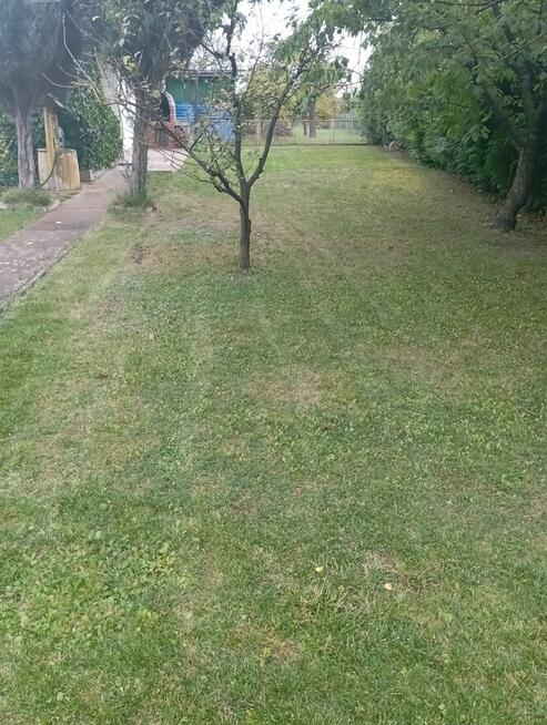 Usługi ogrodnicze oferuje