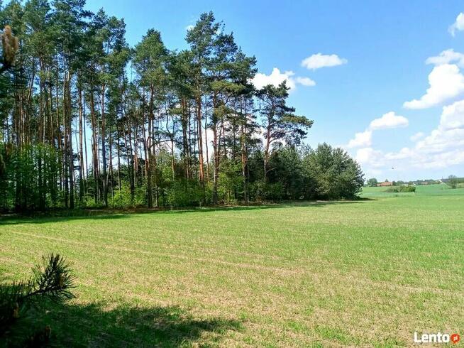 Sprzedam wyjątkową działkę przy lesie w Borach Tucholskich