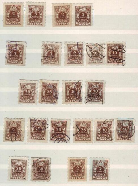 Zn. PMW Fi 239 kas 1928