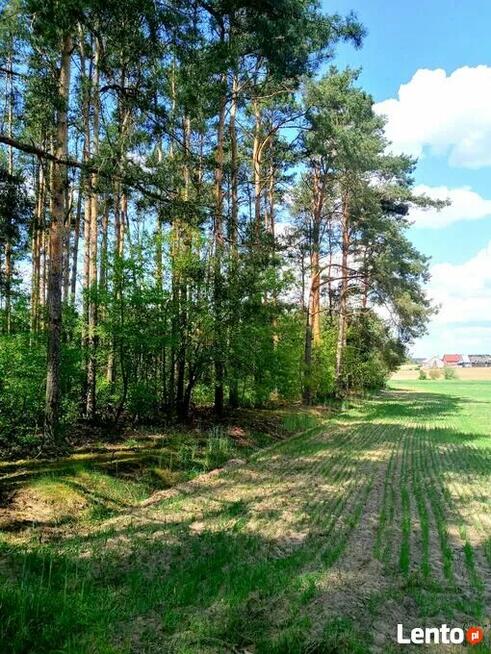 Sprzedam wyjątkową działkę przy lesie w Borach Tucholskich