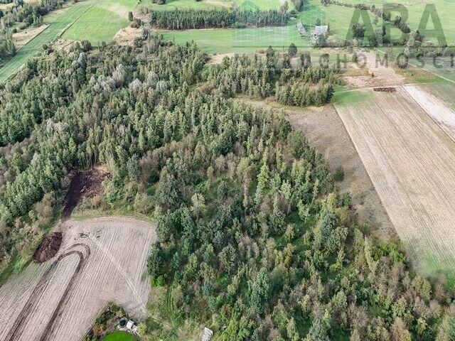 Działka rolna idealna na stadninę - Brzózki