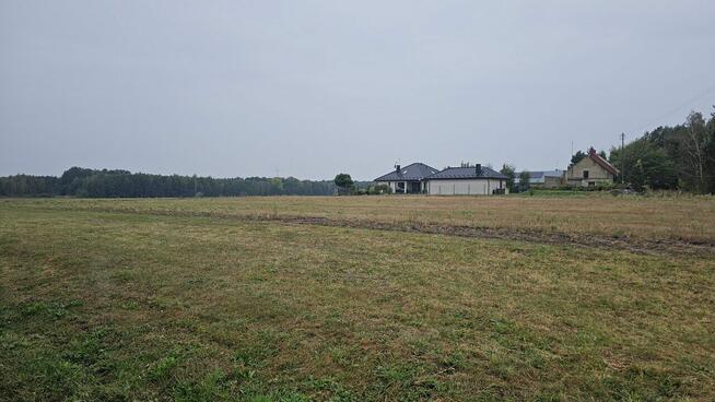 Działka gruntowa w Niemierzynie gm. Ostrówek