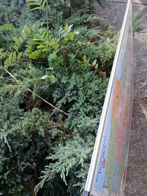 Mapa magnetyczna Polski mapy magnetyczne 100x90