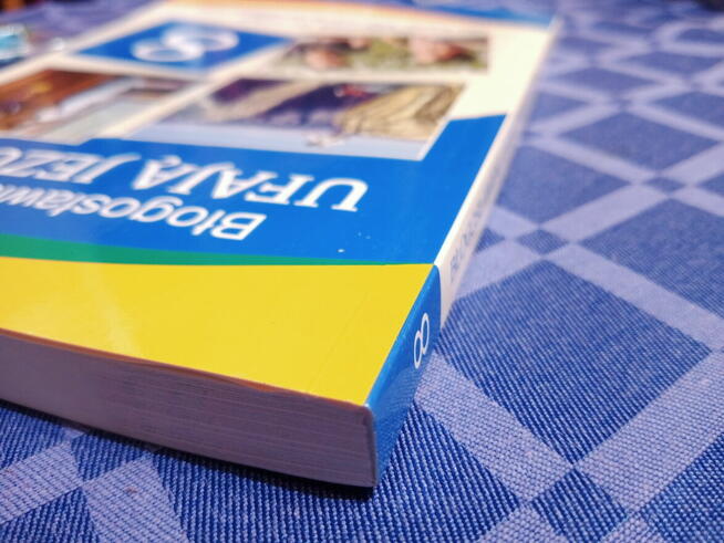 Błogosławieni którzy ufają Jezusowi religia klasa 8