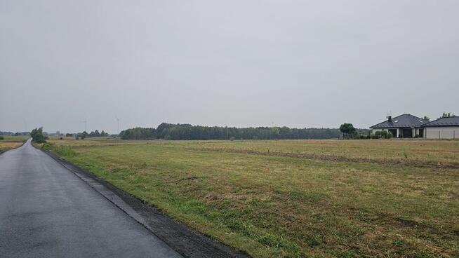 Działka gruntowa w Niemierzynie gm. Ostrówek