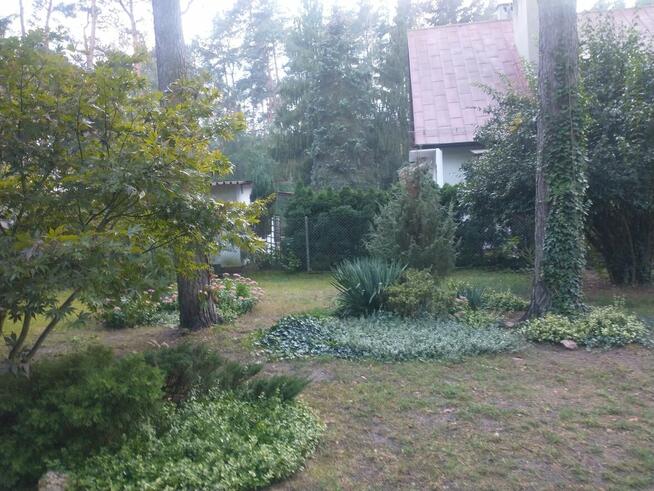 Domek całoroczny na działce leśnej Wrząca