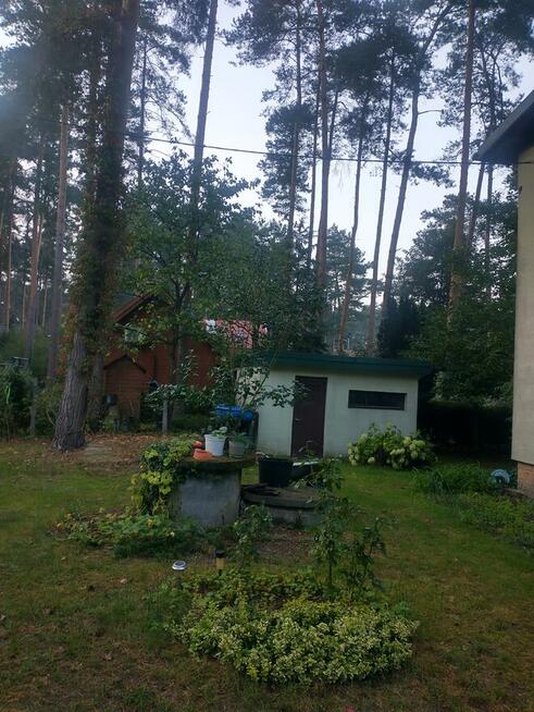 Domek całoroczny na działce leśnej Wrząca