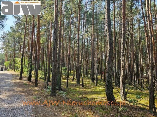 Działka budowlana Hornówek gm. Izabelin, gm. Izabelin