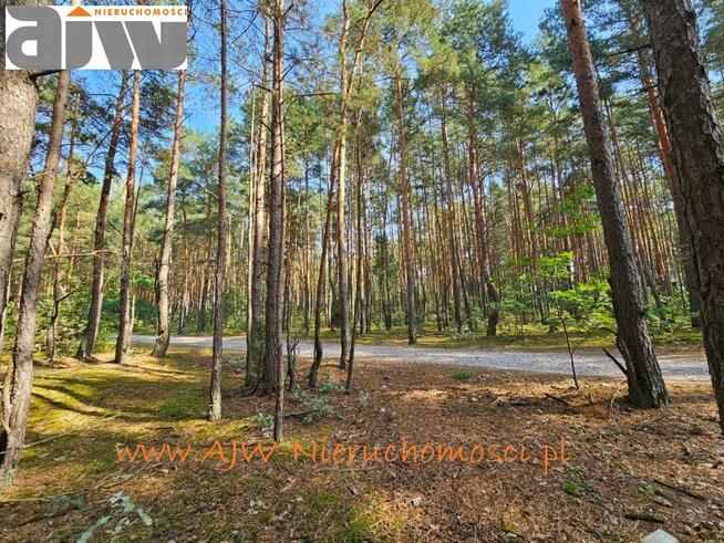 Działka budowlana Hornówek gm. Izabelin, gm. Izabelin