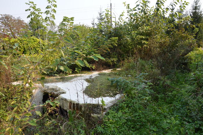 Działka budowlana, Urzędów, centrum, 25 a